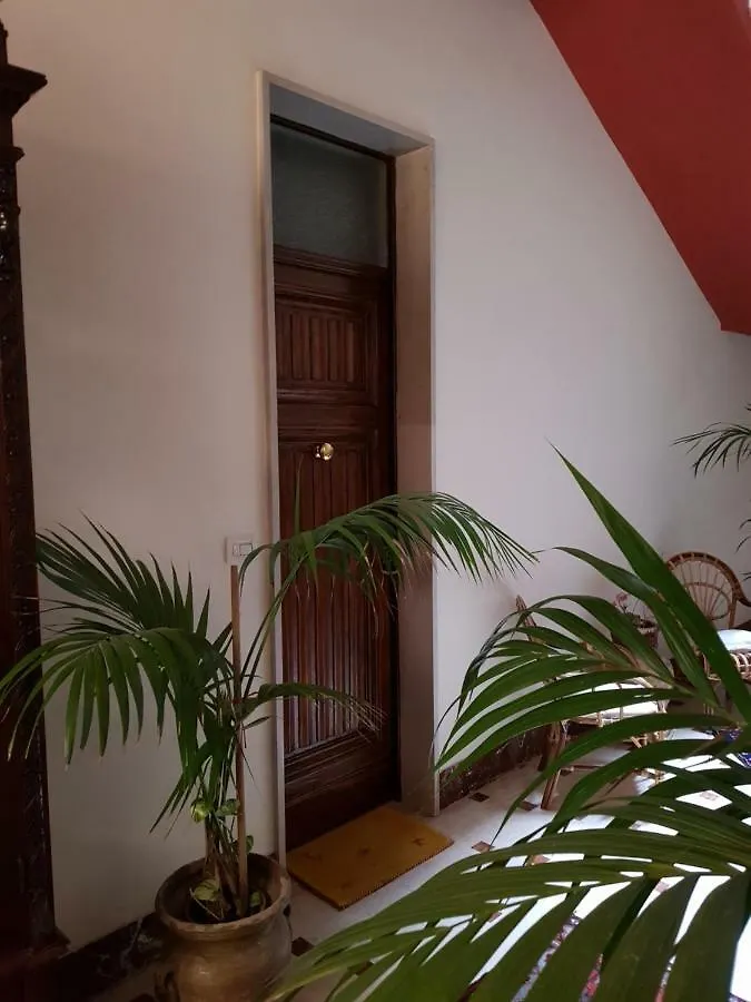 Rosa fiorita Hotel Erice